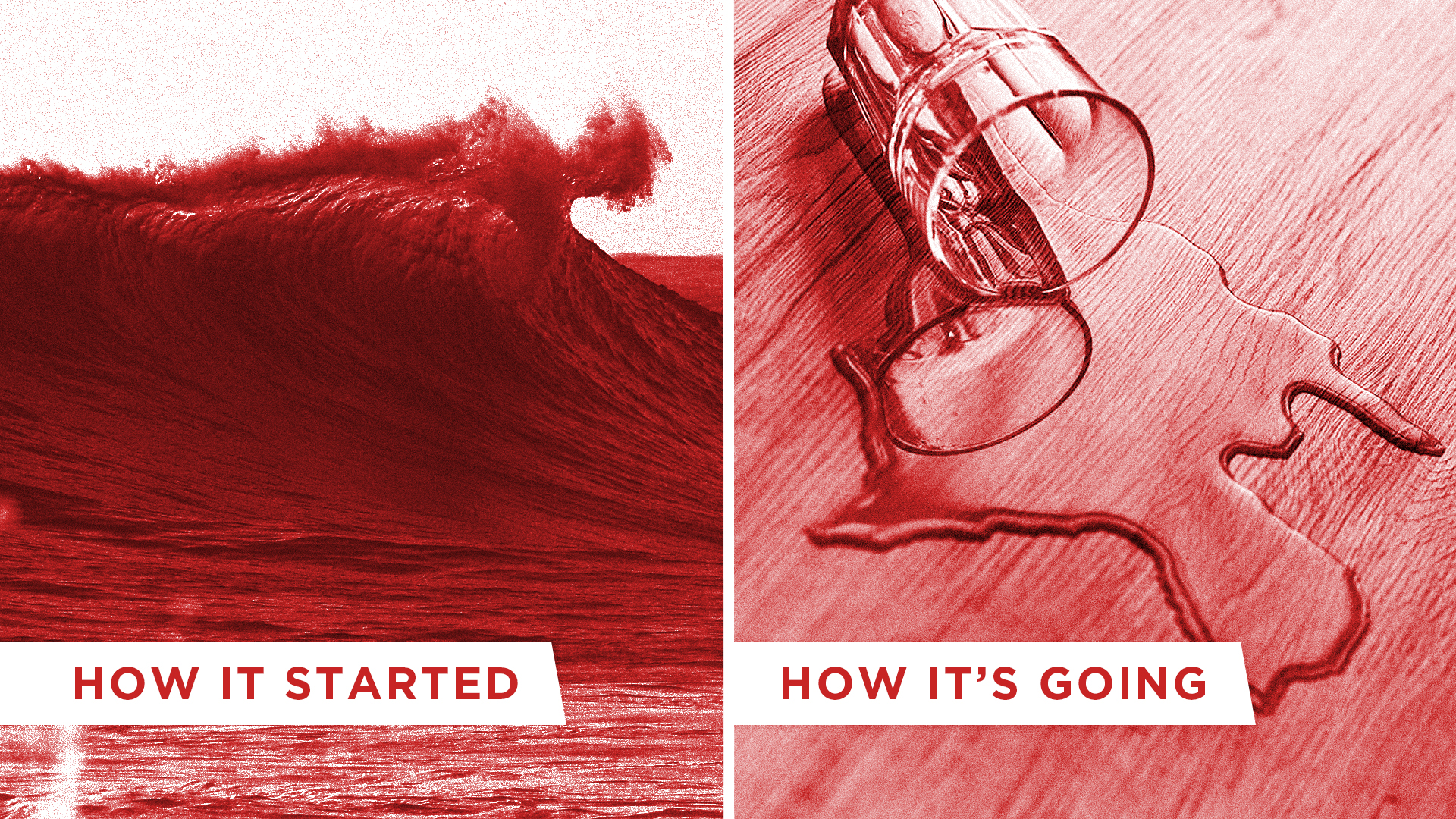 The Red Wave Turns Into a Purple Puddle: What Went Wrong? Would We Vote For DeSantis or Trump in 2024?